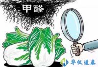 食品甲醛檢測儀“上陣”保障飲食安全 可實現快速、精準地檢測