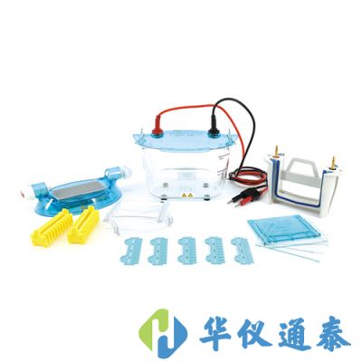 北京六一 DYCZ-24K、DYCZ-24KS型雙板垂直電泳儀