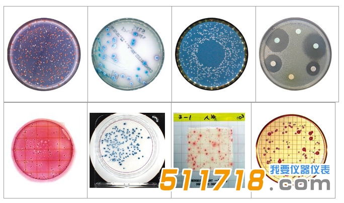 法國interscience Scan 1200自動(dòng)菌落計(jì)數(shù)器1.png