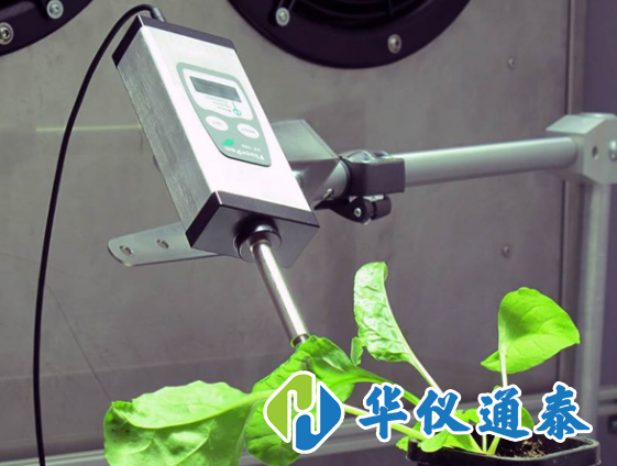 1611020769422896.png 葉綠素測(cè)定儀的使用步驟和注意事項(xiàng).png