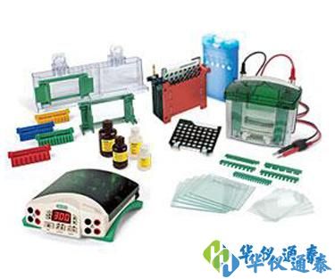 Bio-Rad 1658033垂直電泳轉印系統套裝.jpg